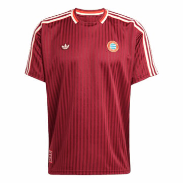 Men's Replica adidas Bayern Munich Special Jersey 25/26